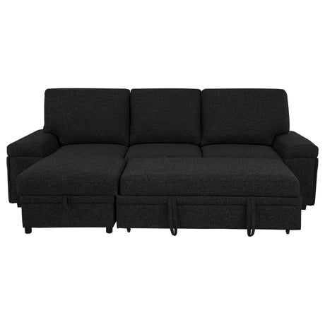Demko Black Sleeper Sectional Sofa with Speaker and Storage Chaise from Coaster - Luna Furniture
