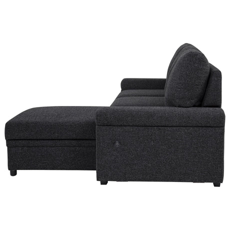 Demko Black Sleeper Sectional Sofa with Speaker and Storage Chaise from Coaster - Luna Furniture