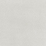 Aleisha Ivory Chenille Upholstered Sofa from Coaster - Luna Furniture