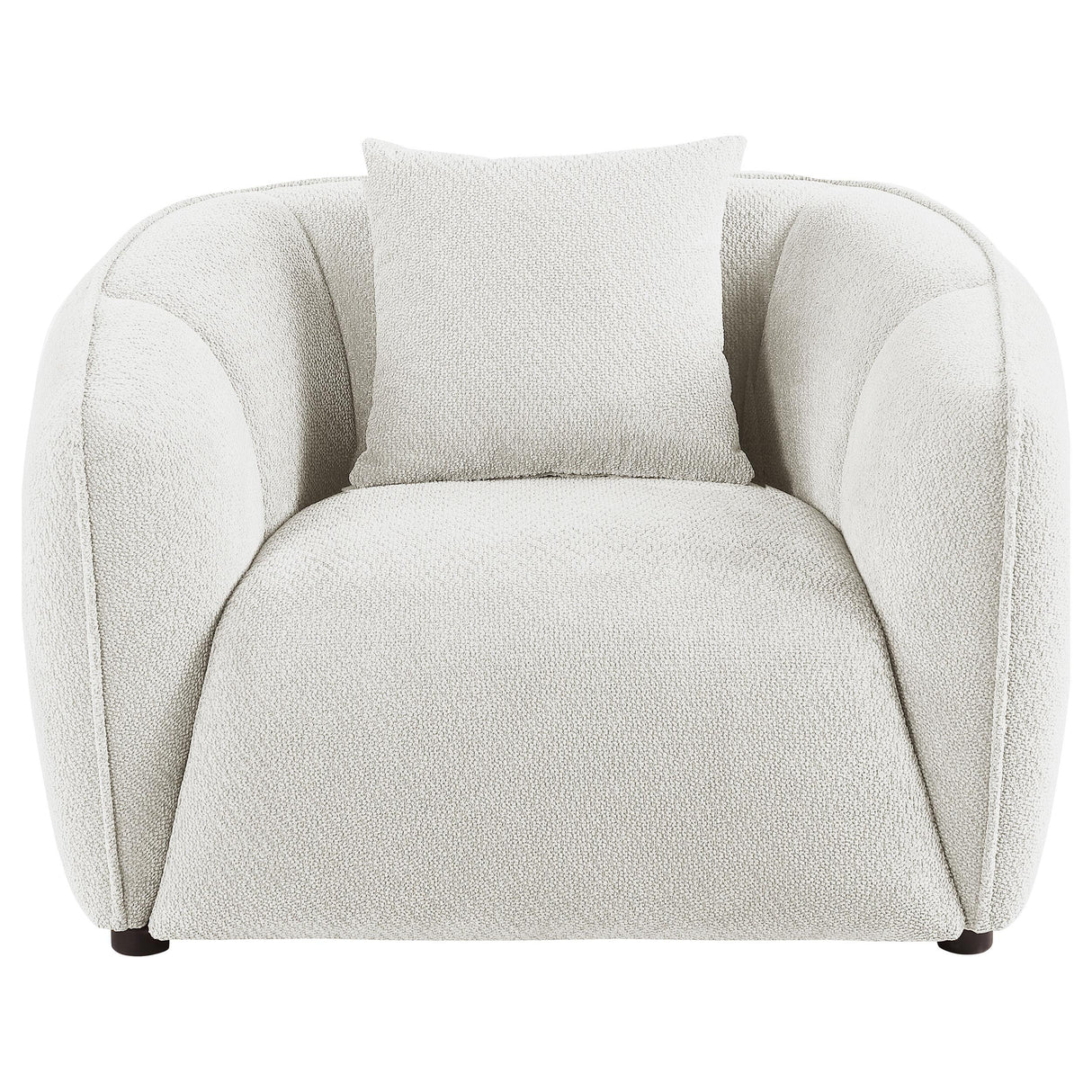 Aleisha Ivory Chenille Upholstered Accent Chair from Coaster - Luna Furniture