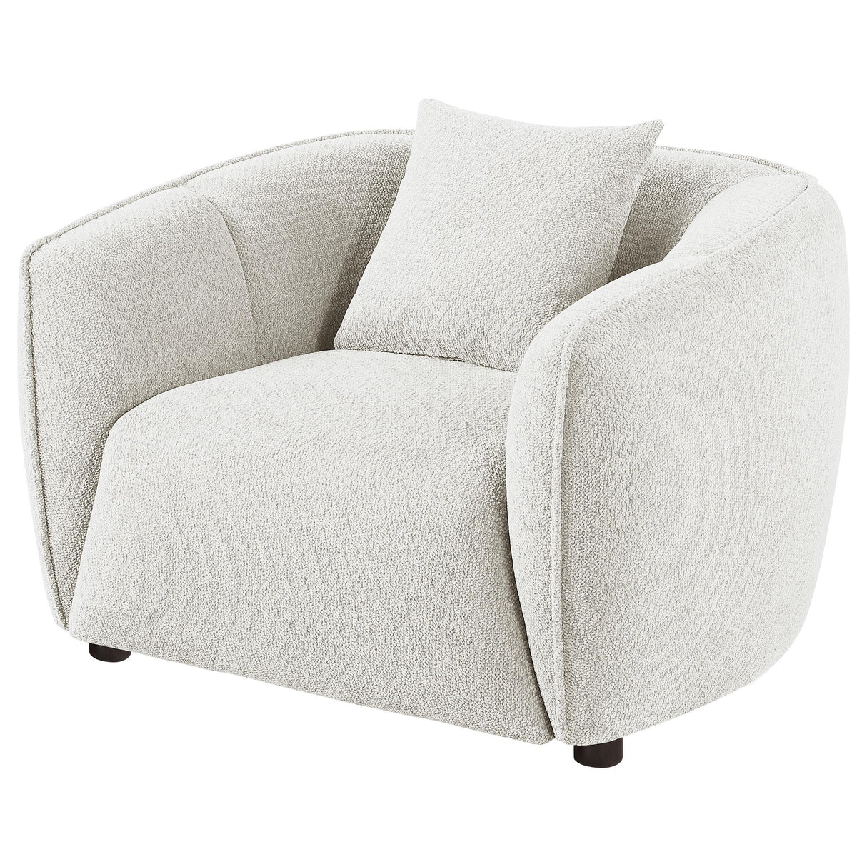 Aleisha Ivory Chenille Upholstered Accent Chair from Coaster - Luna Furniture