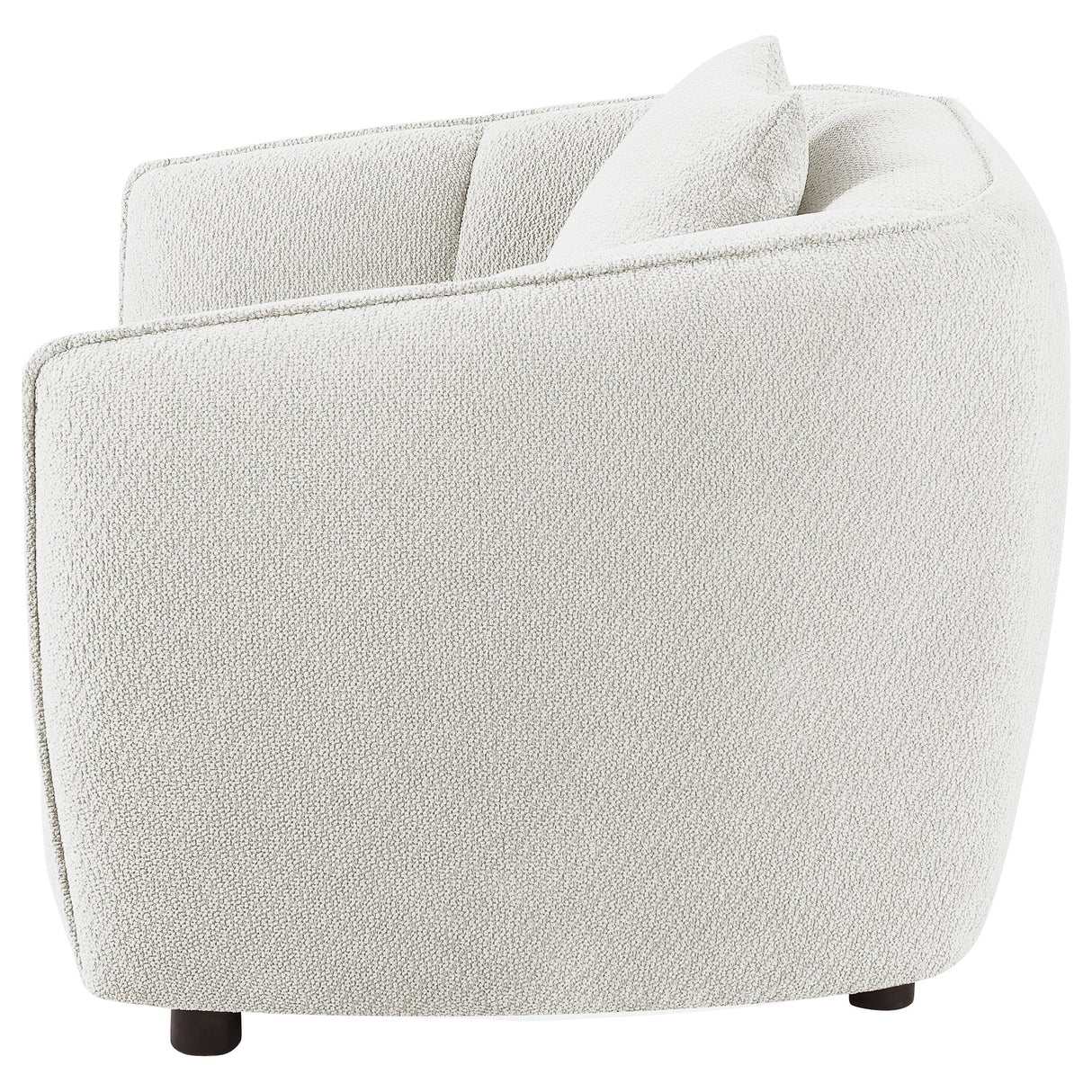 Aleisha Ivory Chenille Upholstered Accent Chair from Coaster - Luna Furniture
