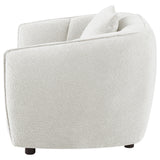 Aleisha Ivory Chenille Upholstered Accent Chair from Coaster - Luna Furniture