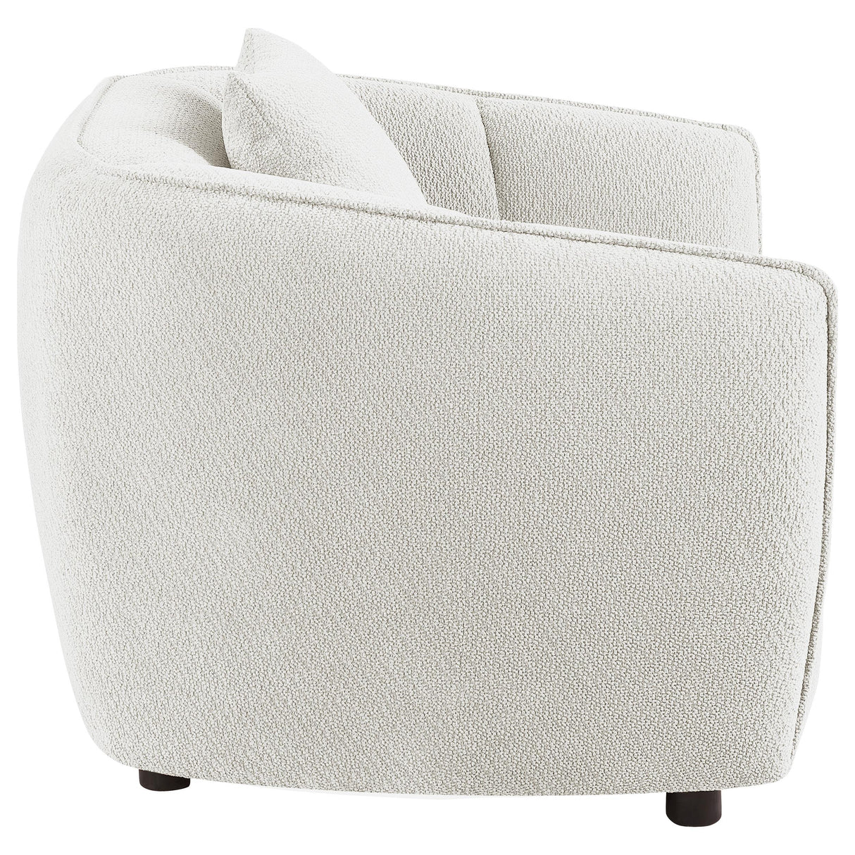 Aleisha Ivory Chenille Upholstered Accent Chair from Coaster - Luna Furniture