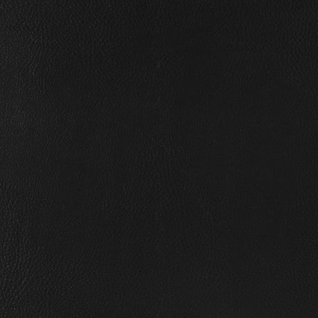 Scotland 2-piece Faux Leather Upholstered Sofa Set Black from Coaster - Luna Furniture