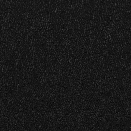 Finley Black Upholstered Pillow Top Arm Living Room Set from Coaster - Luna Furniture