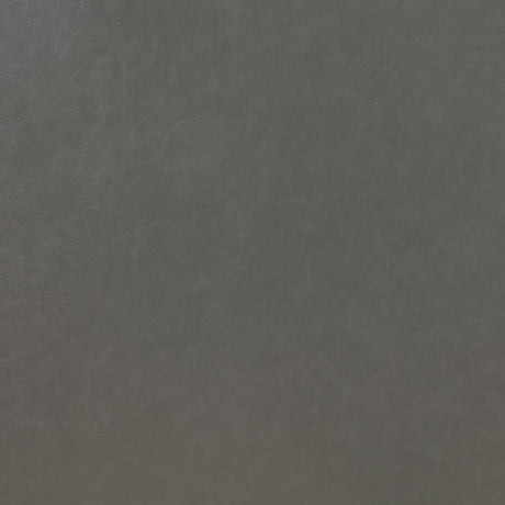 Ruth Gray 2-Piece Upholstered Track Arm Faux Leather Sofa Set from Coaster - Luna Furniture