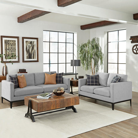 Apperson Gray 2-Piece Living Room Set from Coaster - Luna Furniture