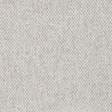 Rainn Latte Upholstered Tight Back Loveseat from Coaster - Luna Furniture