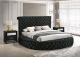 Brigitte Black Queen Upholstered Storage Panel Bed