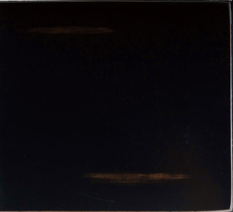 Janina Black Side Chair, Set of 2 from Homelegance - Luna Furniture