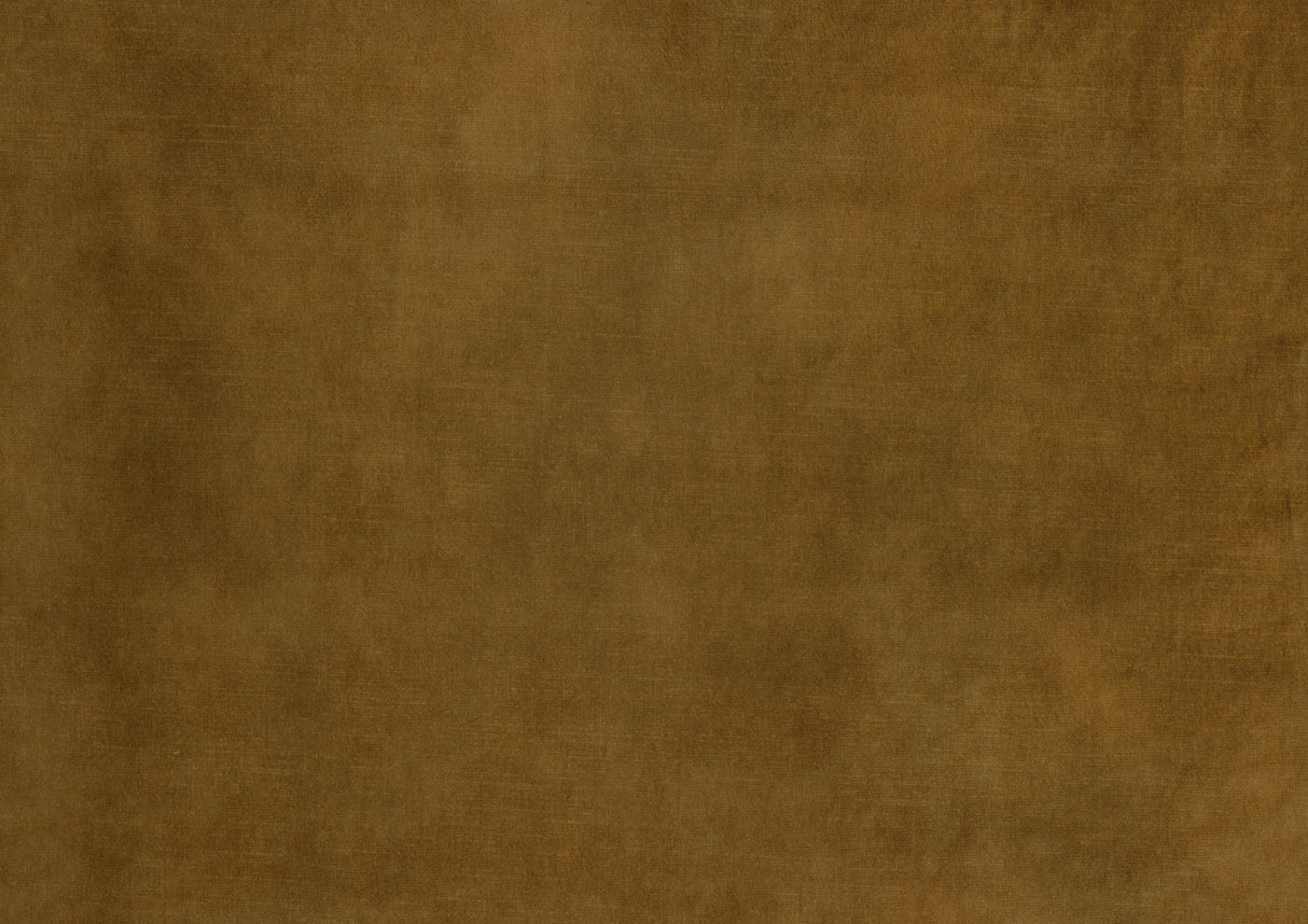 Cosimo Mustard Side Chair, Set of 2 from Homelegance - Luna Furniture