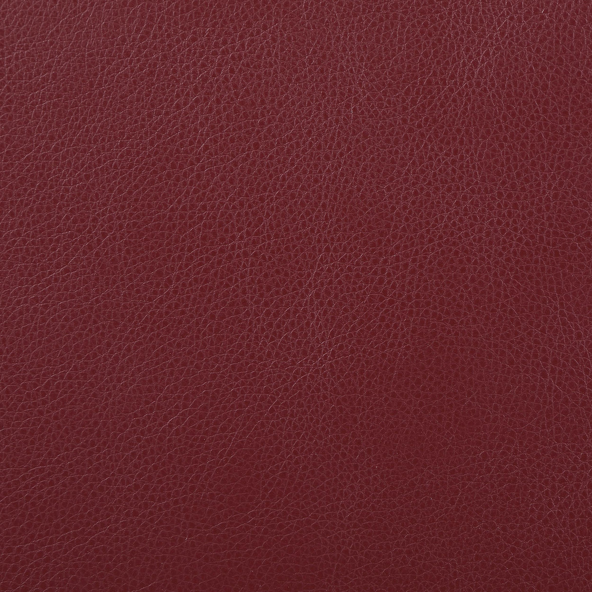 Camila Red Faux Leather Motion Reclining Loveseat from Coaster - Luna Furniture