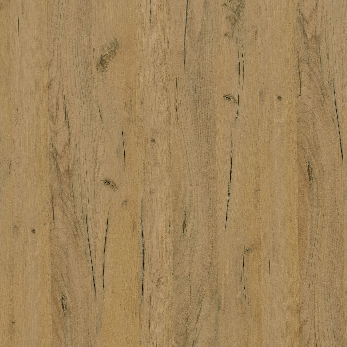 TBD from Coaster - Luna Furniture