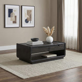 Leandro Burnished Black 2-drawer Wood Cocktail Coffee Table from Coaster - Luna Furniture