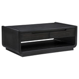 Leandro Burnished Black 2-drawer Wood Cocktail Coffee Table from Coaster - Luna Furniture