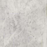 Haven Black Round Genuine White Marble Top Coffee Table from Coaster - Luna Furniture