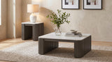 Lior Charcoal 2-Piece Square Marble Top Coffee and End Table Set from Coaster - Luna Furniture