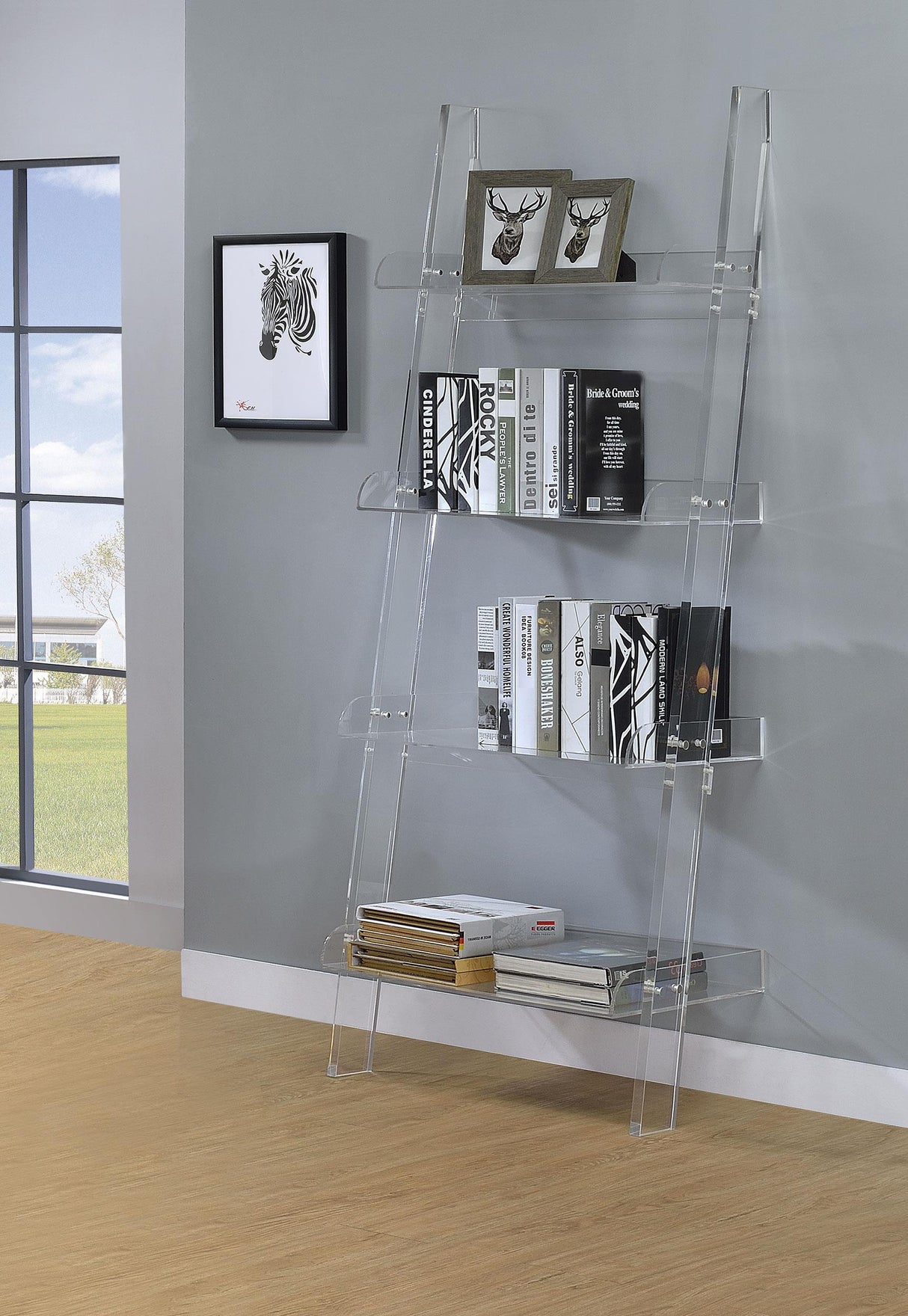 Amaturo Clear 4-Shelf Ladder Bookcase from Coaster - Luna Furniture