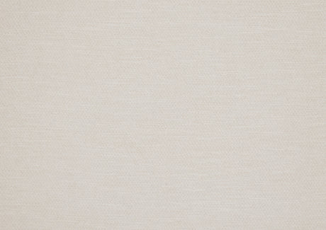 Cove Beige Loveseat from Homelegance - Luna Furniture