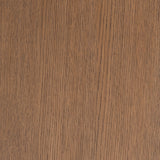 Portrait Sienna Brown Fireplace With Electric Insert from Michael Amini - Luna Furniture