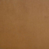 Thornton Velvet Upholstered Wingback Lounge Accent Chair Camel from Coaster - Luna Furniture