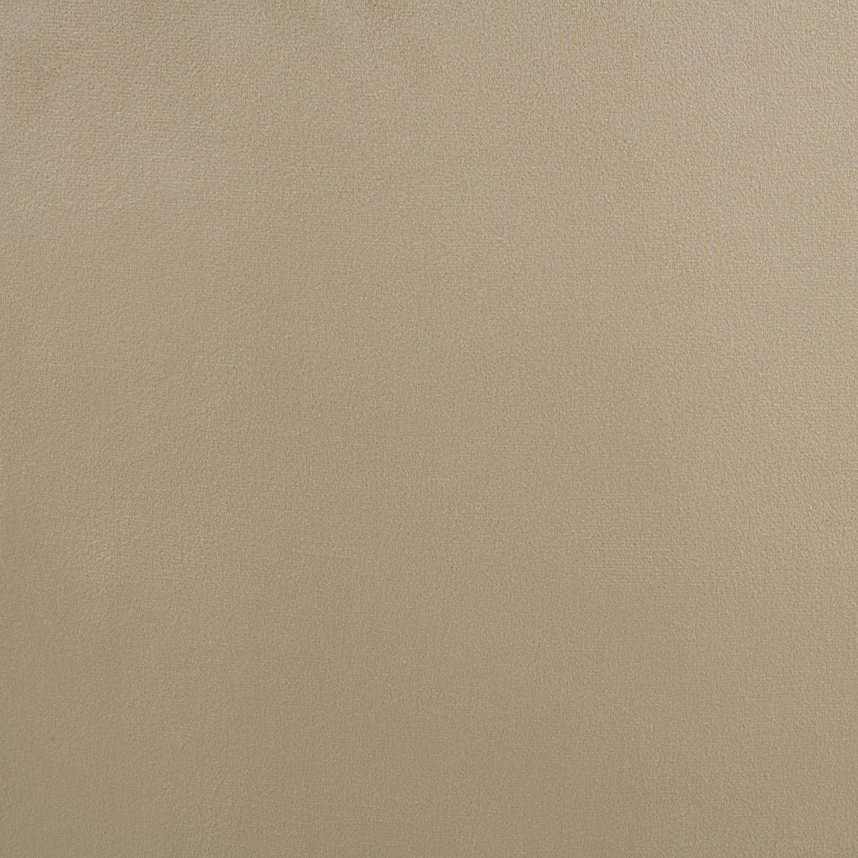 Myernick Camel Velvet Upholstered Swivel Accent Chair from Coaster - Luna Furniture