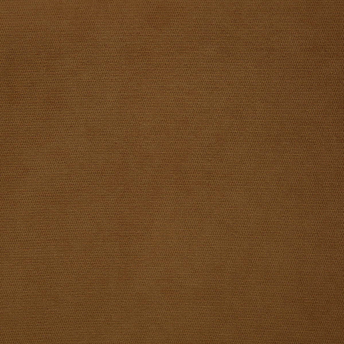 Catala Rust/Coffee Upholstered High Back Accent Chair from Coaster - Luna Furniture