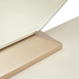 La Rachelle Medium Champagne Wall Mirror from Michael Amini - Luna Furniture