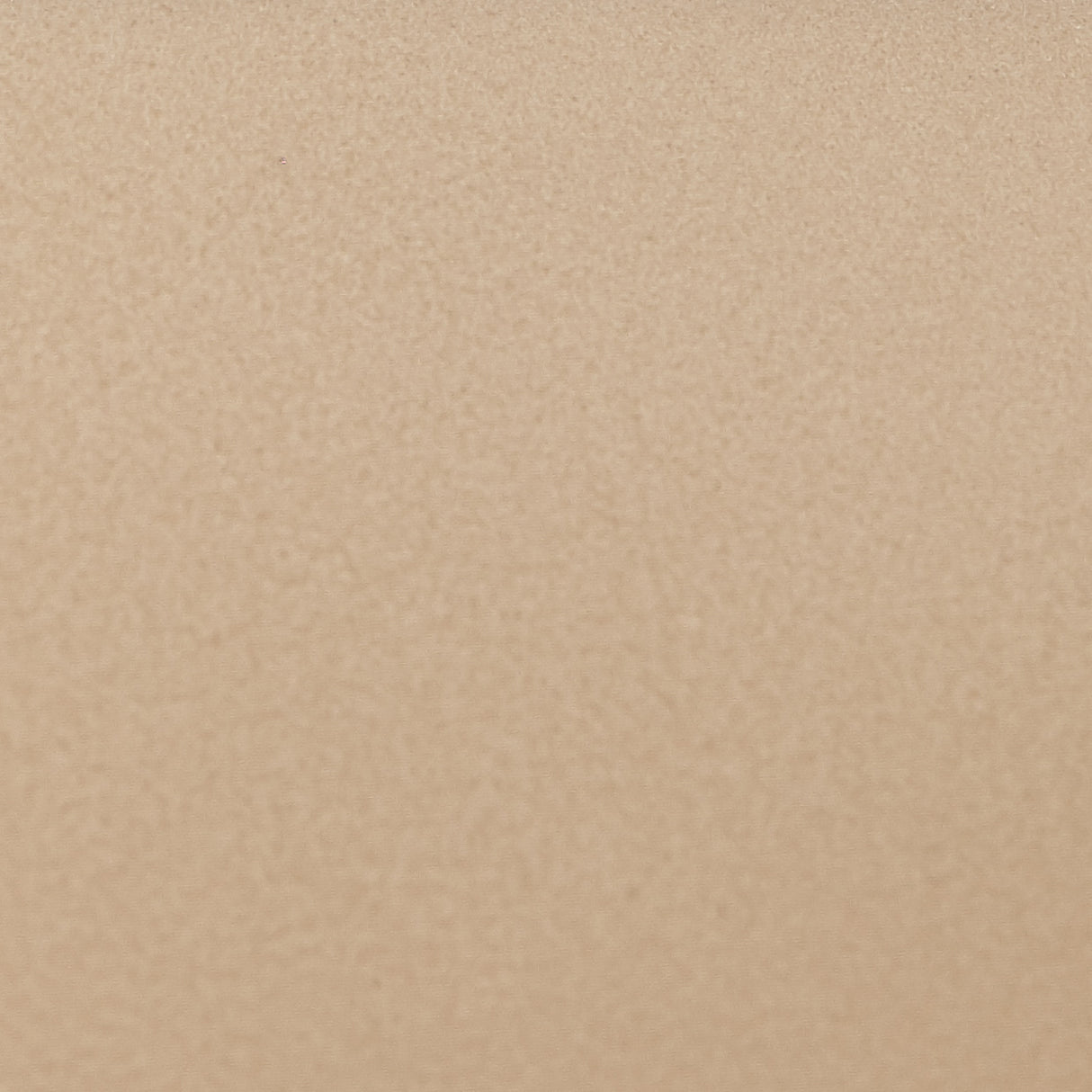 La Rachelle Medium Champagne Sofa from Michael Amini - Luna Furniture