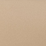 La Rachelle Medium Champagne Sofa from Michael Amini - Luna Furniture