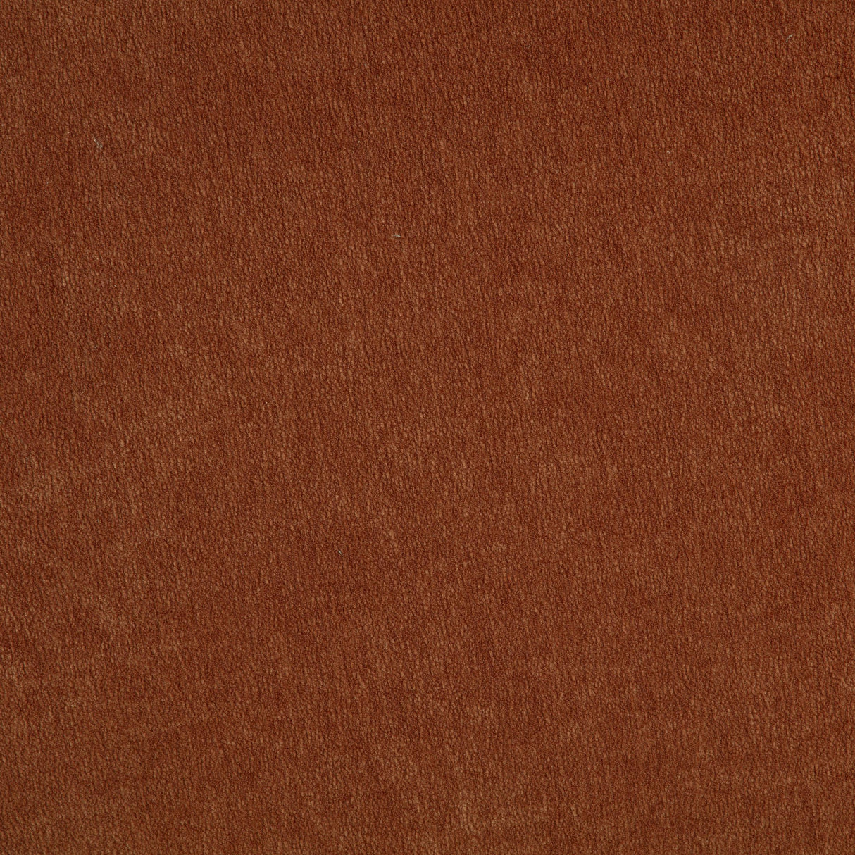 Arnaud Burnt Orange Chenille Upholstered Swivel Accent Chair from Coaster - Luna Furniture