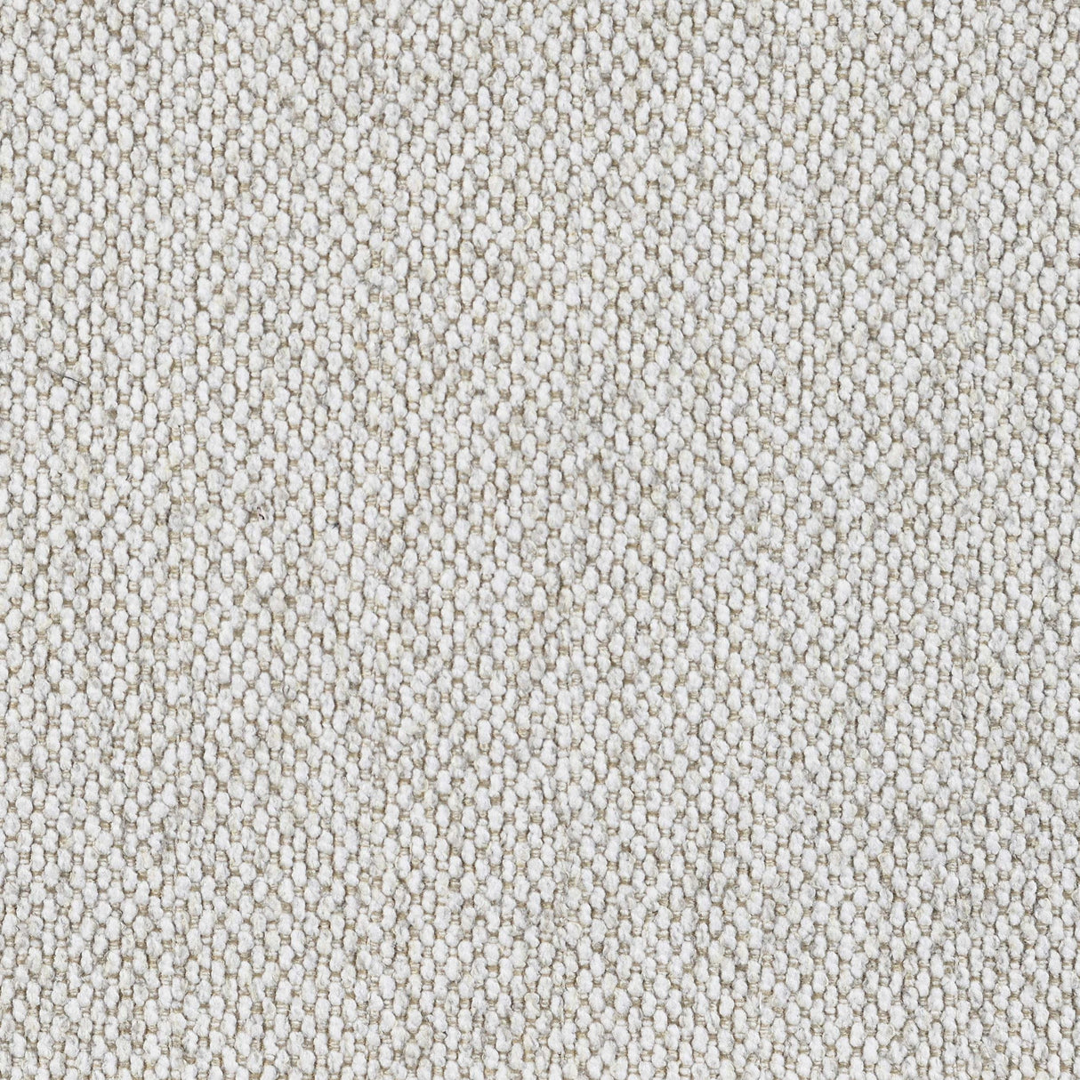 Pippin Latte Upholstered Wingback Accent Chair from Coaster - Luna Furniture