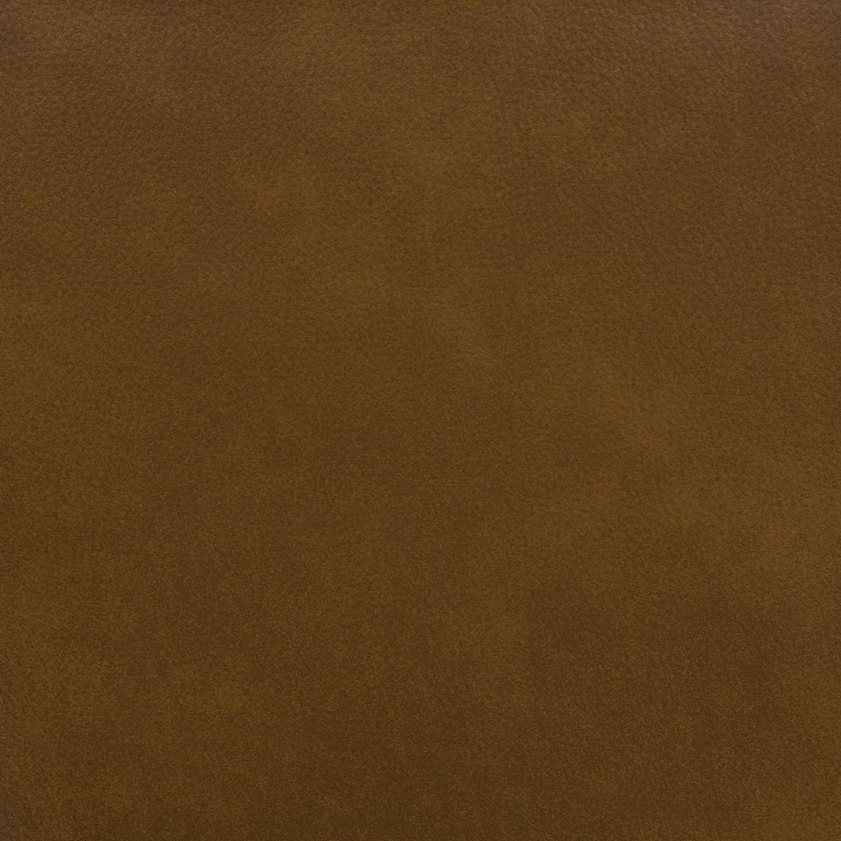 HP0426 Cognac Accent Swivel Chair from Coaster - Luna Furniture