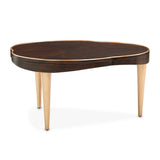 Camellia Field Pecan Warm Pecan Camellia Field Cocktail Table Warm Pecan from Michael Amini - Luna Furniture