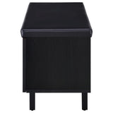 Addie Black 2-Door Padded Entryway Shoe Storage from Coaster - Luna Furniture
