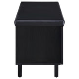Addie Black 2-Door Padded Entryway Shoe Storage from Coaster - Luna Furniture