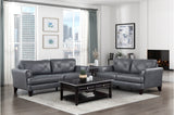 Thierry Burnish Gray 2-Piece Living Room Set