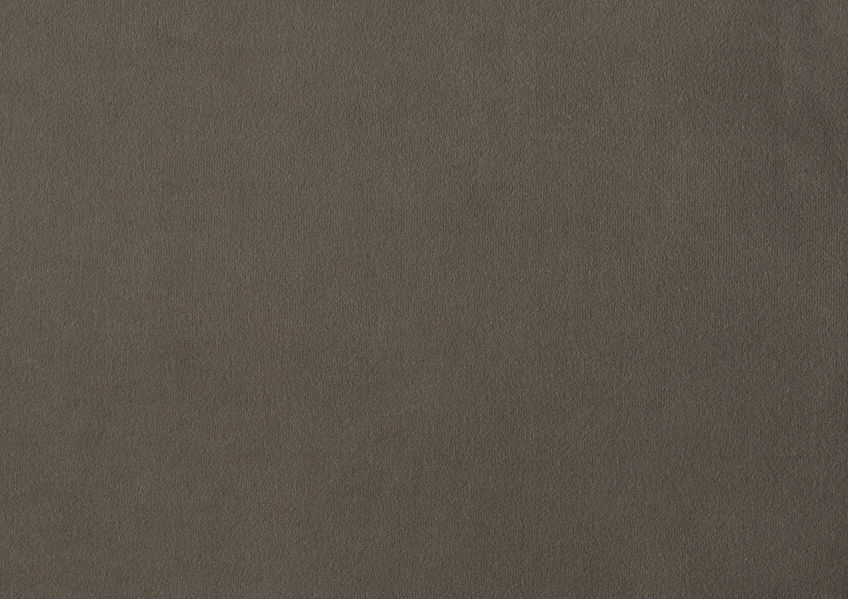 Dunleith Light Brown Velvet Loveseat from Homelegance - Luna Furniture