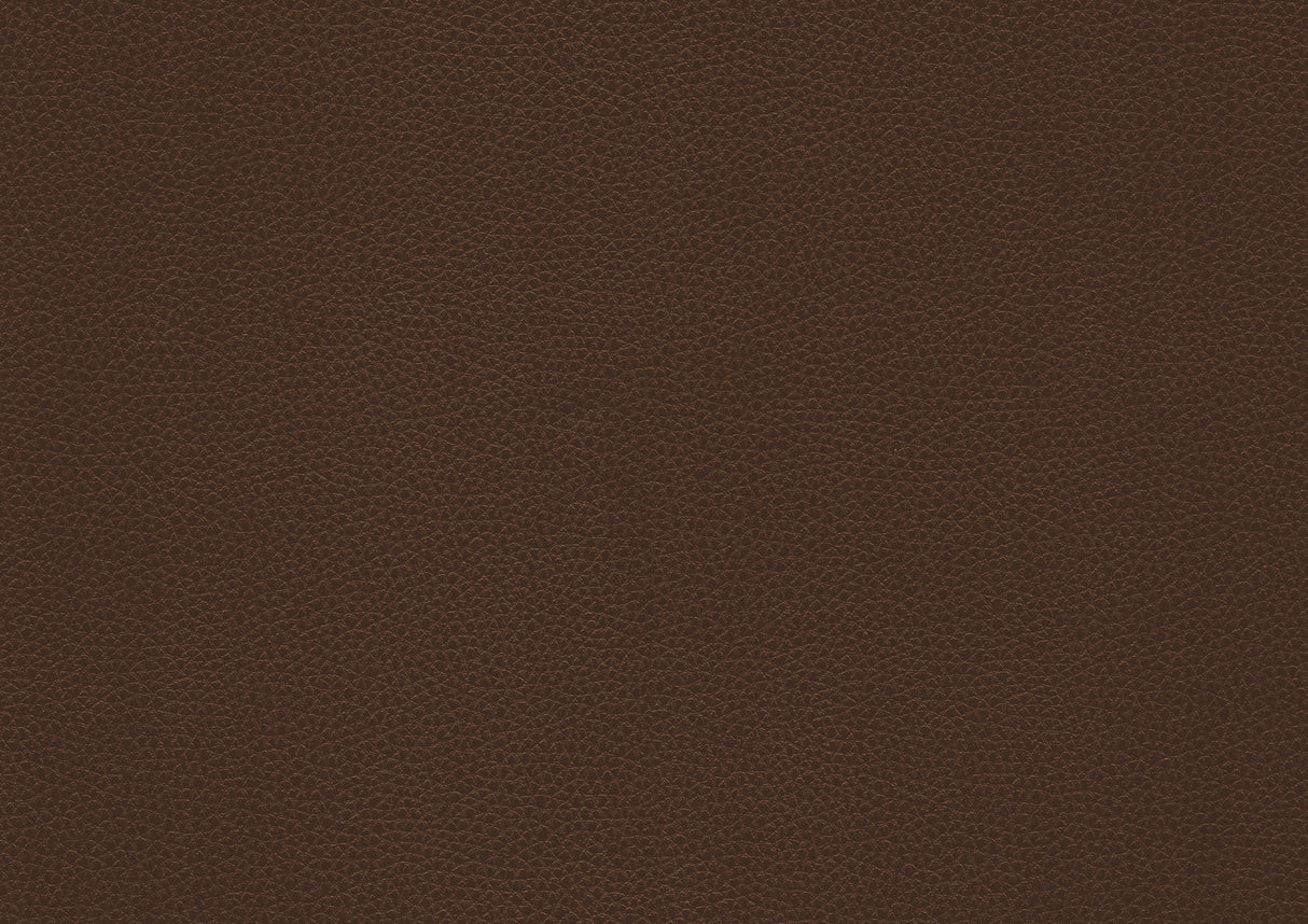 Briscoe Brown Double Reclining Sofa with Drop-Down Cup Holders from Homelegance - Luna Furniture