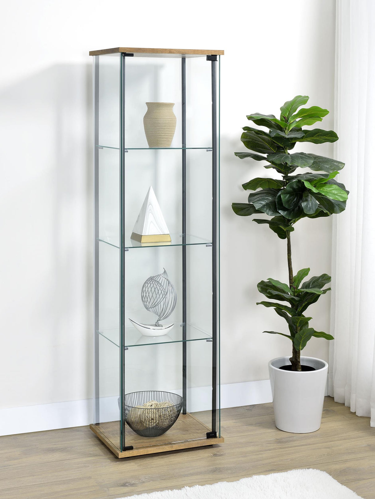 Bellatrix Mango 3-Shelf Clear Glass Curio Cabinet from Coaster - Luna Furniture