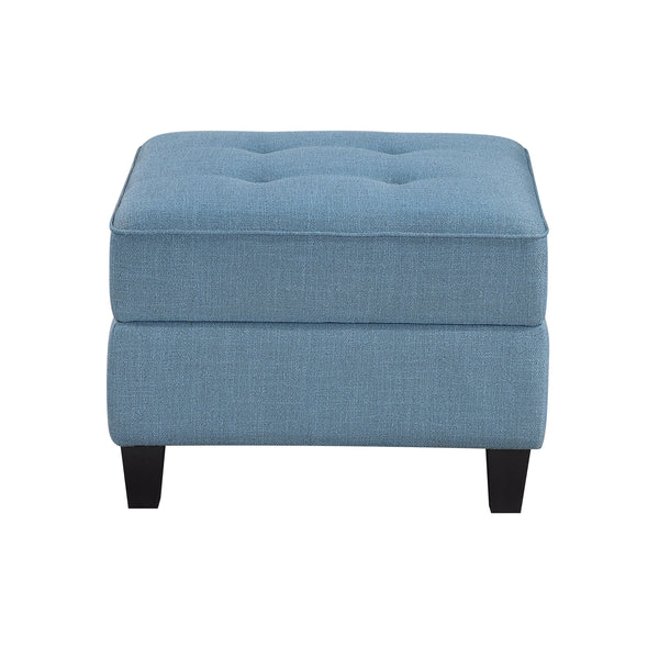 Garren Blue Ottoman with Storage