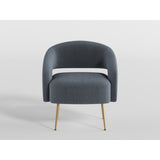 Roslyn Dark Gray Velvet Accent Chair from Homelegance - Luna Furniture