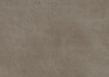 Pagosa Brown Rocker Reclining Chair from Homelegance - Luna Furniture