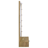 Spector Mango 1-Drawer Lighted Full-Length Floor Mirror from Coaster - Luna Furniture