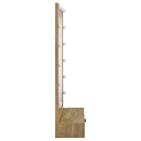Spector Mango 1-Drawer Lighted Full-Length Floor Mirror from Coaster - Luna Furniture