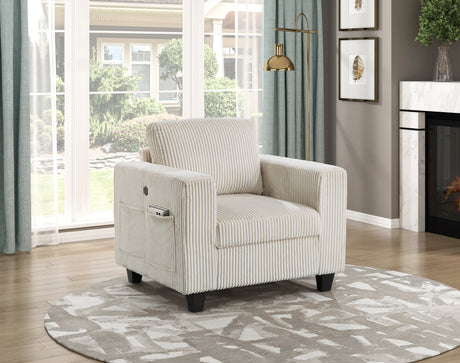 Walterboro Beige Chair with Storage Pouches from Homelegance - Luna Furniture