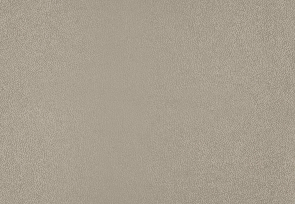 Aria Beige Accent Chair from Homelegance - Luna Furniture