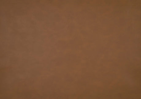 9730CAM-3CL Elegant Lounger from Homelegance - Luna Furniture