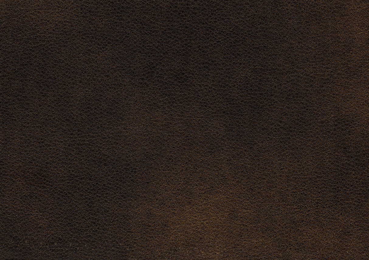 Croydon Brown Chair from Homelegance - Luna Furniture